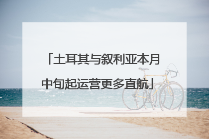 土耳其与叙利亚本月中旬起运营更多直航