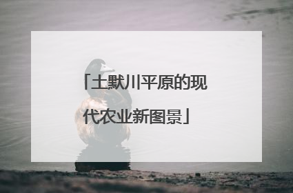 土默川平原的现代农业新图景