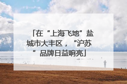 在“上海飞地”盐城市大丰区，“沪苏”品牌日益响亮