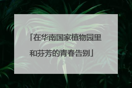 在华南国家植物园里和芬芳的青春告别