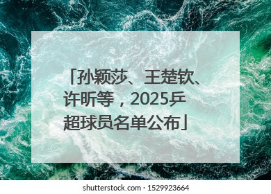 孙颖莎、王楚钦、许昕等，2025乒超球员名单公布