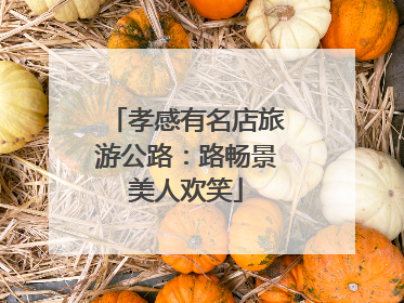 孝感有名店旅游公路：路畅景美人欢笑