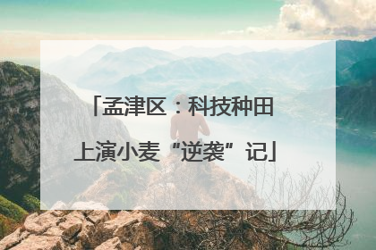 孟津区：科技种田 上演小麦“逆袭”记