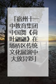 宿州十一中教育集团中国舞《荷叶翩翩》在埇桥区传统文化展演中大放异彩