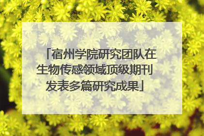 宿州学院研究团队在生物传感领域顶级期刊发表多篇研究成果