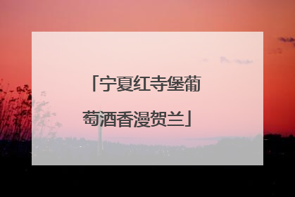 宁夏红寺堡葡萄酒香漫贺兰