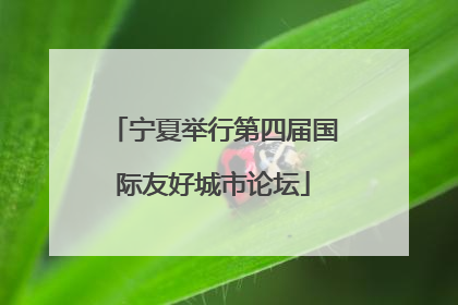 宁夏举行第四届国际友好城市论坛