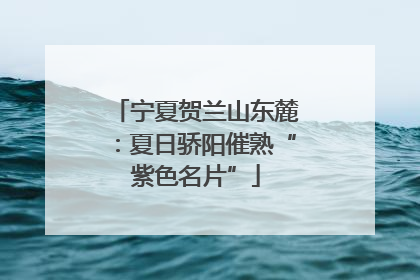 宁夏贺兰山东麓：夏日骄阳催熟“紫色名片”