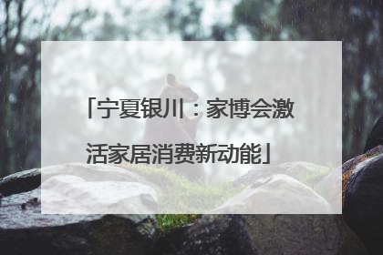 宁夏银川：家博会激活家居消费新动能