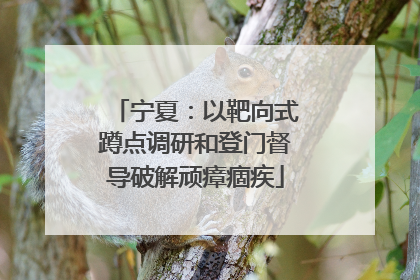 宁夏：以靶向式蹲点调研和登门督导破解顽瘴痼疾