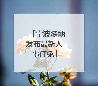 宁波多地发布最新人事任免