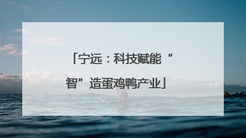 宁远：科技赋能“智”造蛋鸡鸭产业