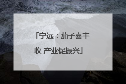 宁远：茄子喜丰收 产业促振兴