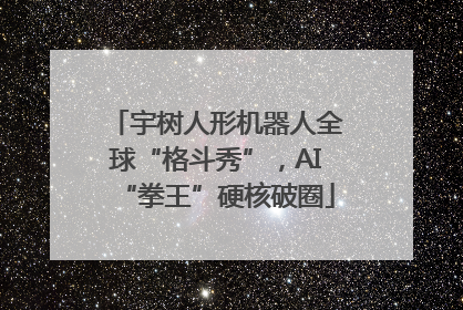 宇树人形机器人全球“格斗秀”，AI“拳王”硬核破圈