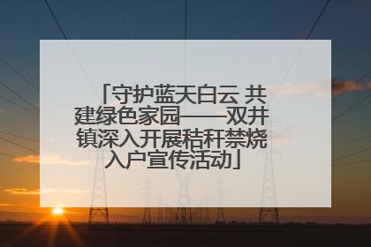 守护蓝天白云 共建绿色家园——双井镇深入开展秸秆禁烧入户宣传活动