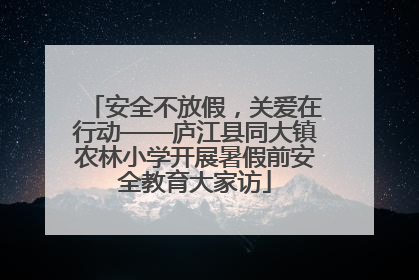 安全不放假，关爱在行动——庐江县同大镇农林小学开展暑假前安全教育大家访