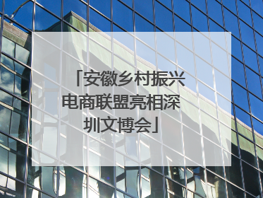 安徽乡村振兴电商联盟亮相深圳文博会
