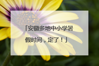 安徽多地中小学暑假时间，定了！