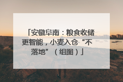 安徽阜南：粮食收储更智能，小麦入仓“不落地”（组图）