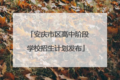 安庆市区高中阶段学校招生计划发布