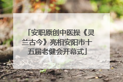 安职原创中医操《灵兰古今》亮相安阳市十五届老健会开幕式