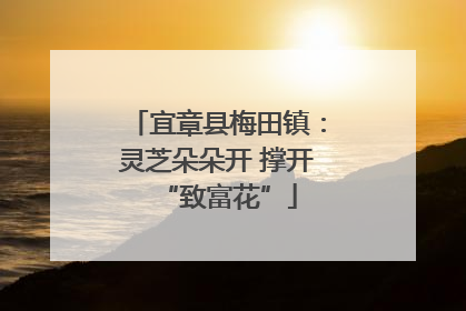 宜章县梅田镇：灵芝朵朵开 撑开“致富花”