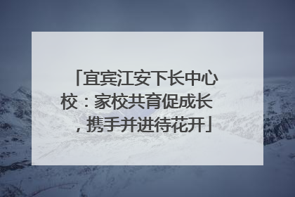 宜宾江安下长中心校：家校共育促成长，携手并进待花开