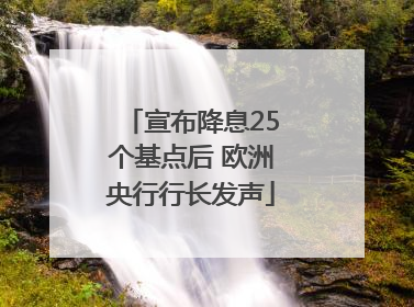 宣布降息25个基点后 欧洲央行行长发声