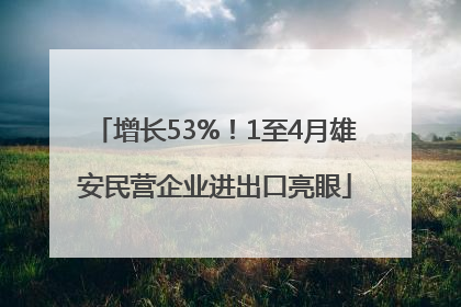 增长53%！1至4月雄安民营企业进出口亮眼