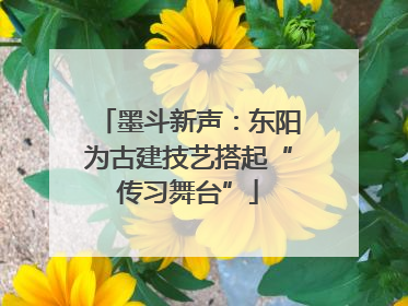 墨斗新声：东阳为古建技艺搭起“传习舞台”