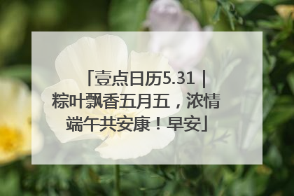 壹点日历5.31｜粽叶飘香五月五，浓情端午共安康！早安