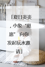 夏日炎炎，小象“崽崽” 向你发起玩水邀请