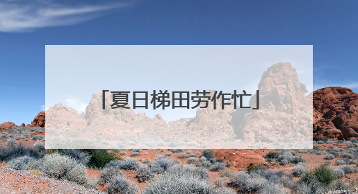 夏日梯田劳作忙