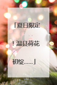 夏日限定！温县荷花初绽……