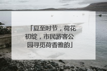 夏至时节，荷花初绽，市民游客公园寻觅荷香雅韵