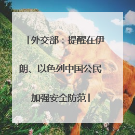 外交部：提醒在伊朗、以色列中国公民加强安全防范