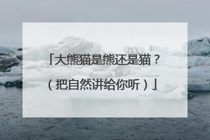 大熊猫是熊还是猫？（把自然讲给你听）