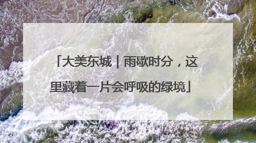 大美东城｜雨歇时分，这里藏着一片会呼吸的绿境