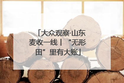 大众观察·山东麦收一线丨“无形田”里有大账