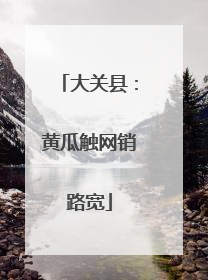 大关县：黄瓜触网销路宽
