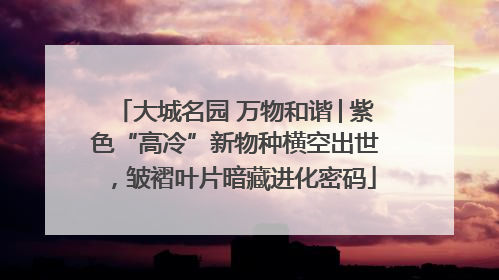大城名园 万物和谐│紫色“高冷”新物种横空出世，皱褶叶片暗藏进化密码