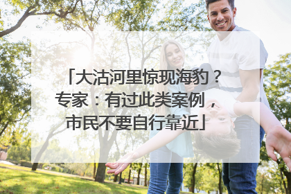 大沽河里惊现海豹？专家：有过此类案例，市民不要自行靠近