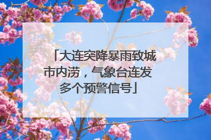 大连突降暴雨致城市内涝，气象台连发多个预警信号
