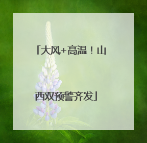 大风+高温！山西双预警齐发