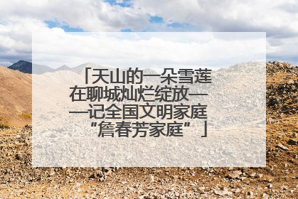 天山的一朵雪莲在聊城灿烂绽放——记全国文明家庭“詹春芳家庭”
