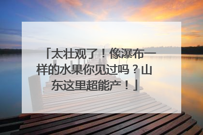 太壮观了！像瀑布一样的水果你见过吗？山东这里超能产！
