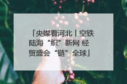 央媒看河北丨空铁陆海“织”新网 经贸盛会“链”全球