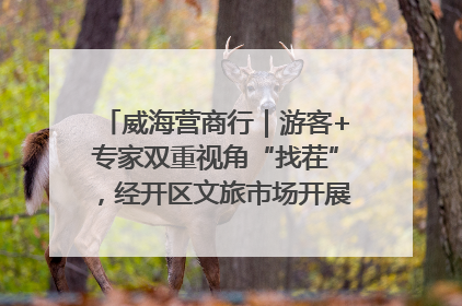 威海营商行｜游客+专家双重视角“找茬”，经开区文旅市场开展暑期前“体检”