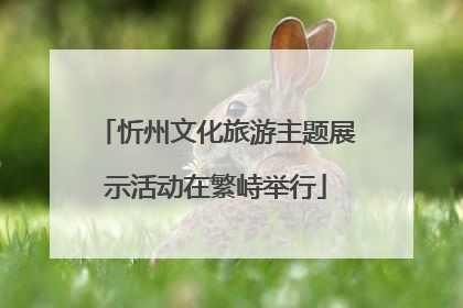 忻州文化旅游主题展示活动在繁峙举行