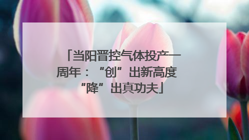 当阳晋控气体投产一周年：“创”出新高度 “降”出真功夫